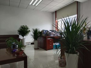 办公室绿植租赁案例